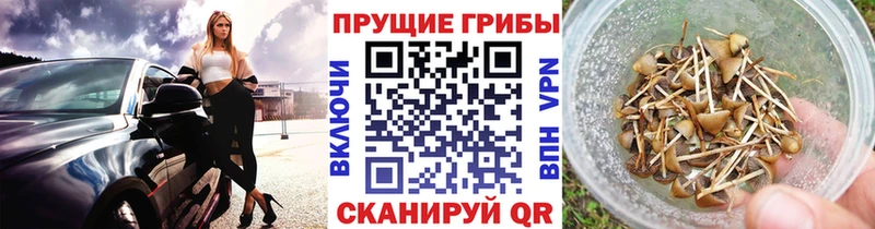 Галлюциногенные грибы ЛСД  Бор 